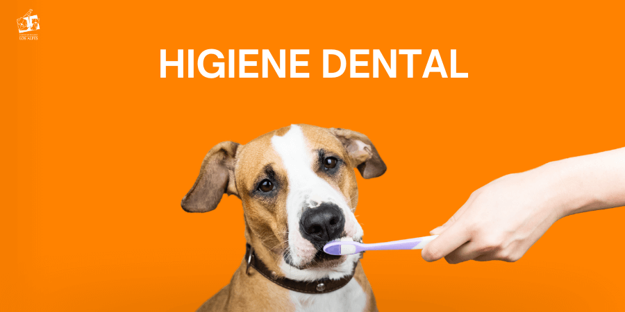 Centro veterinario Los Alpes post blog higiene dental mascota