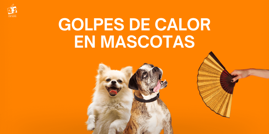 Centro veterinario Los Alpes post blog golpe de calor en mascotas