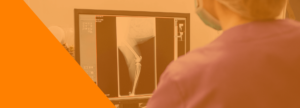 Centro Veterinario Los Alpes Header Servicios