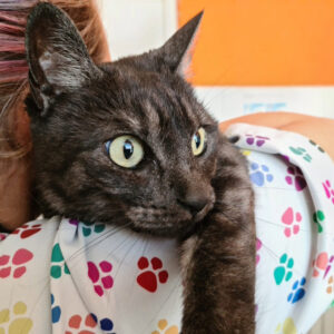 Centro Veterinario Los Alpes pacientes