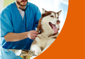 Centro Veterinario Los Alpes Servicios