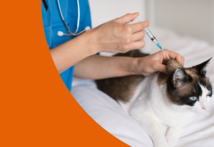 Centro Veterinario Los Alpes Servicios