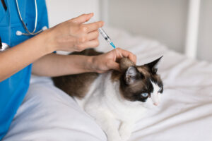Centro Veterinario Los Alpes Servicios