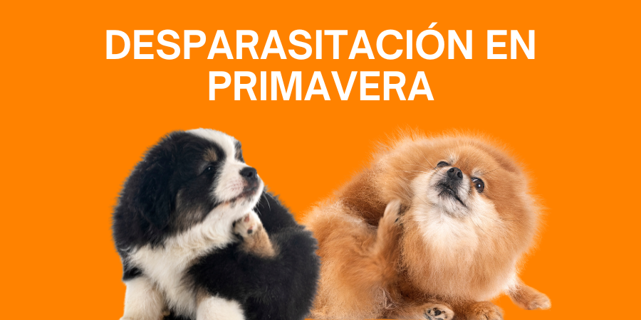 Desparasitación de cachorros en primavera post veterinaria Los Alpes