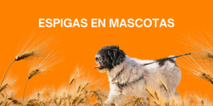 espigas en mascotas post veterinaria los alpes